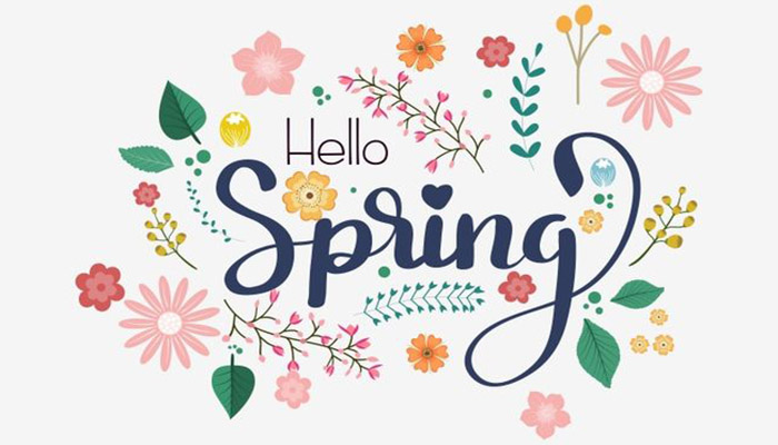 Hello Spring！